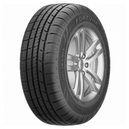Fortune 185/60R15 84H Perfectus FSR602 TL