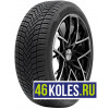 Delinte 205/55 r16 AW6 94V